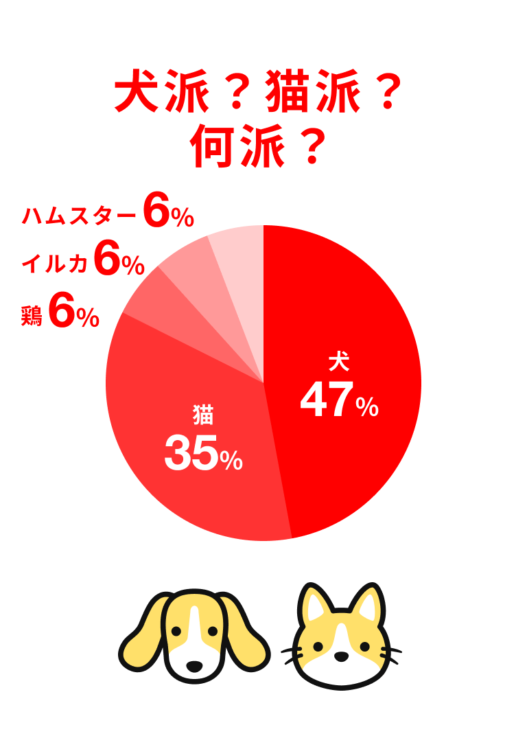 犬派？猫派？何派？ 犬47% 猫35% 鶏6% イルカ&% ハムスター6%